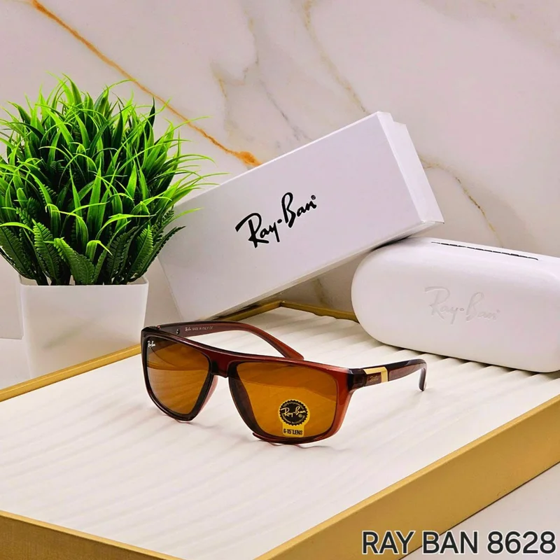 ray-ban_8628__stylish_sunglasses_for_sunny_days_4.webp
