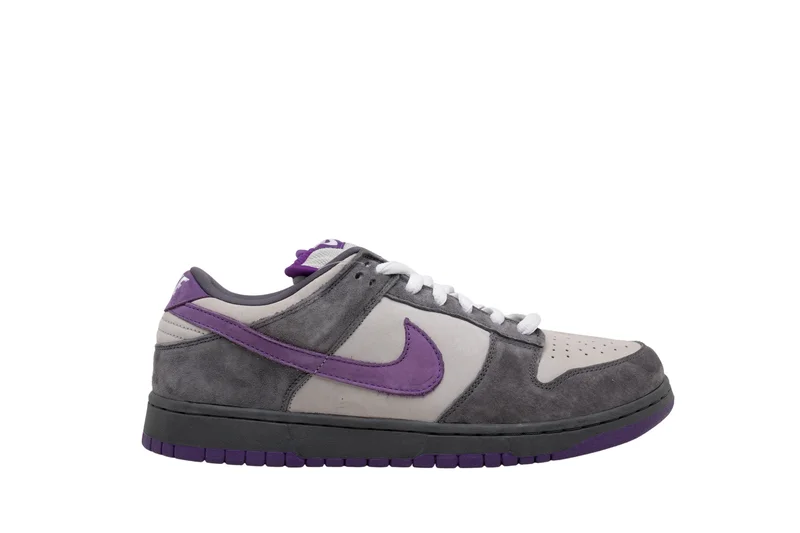 NIKE ZOOM DUNK LOW PRO SB SNEAKERS