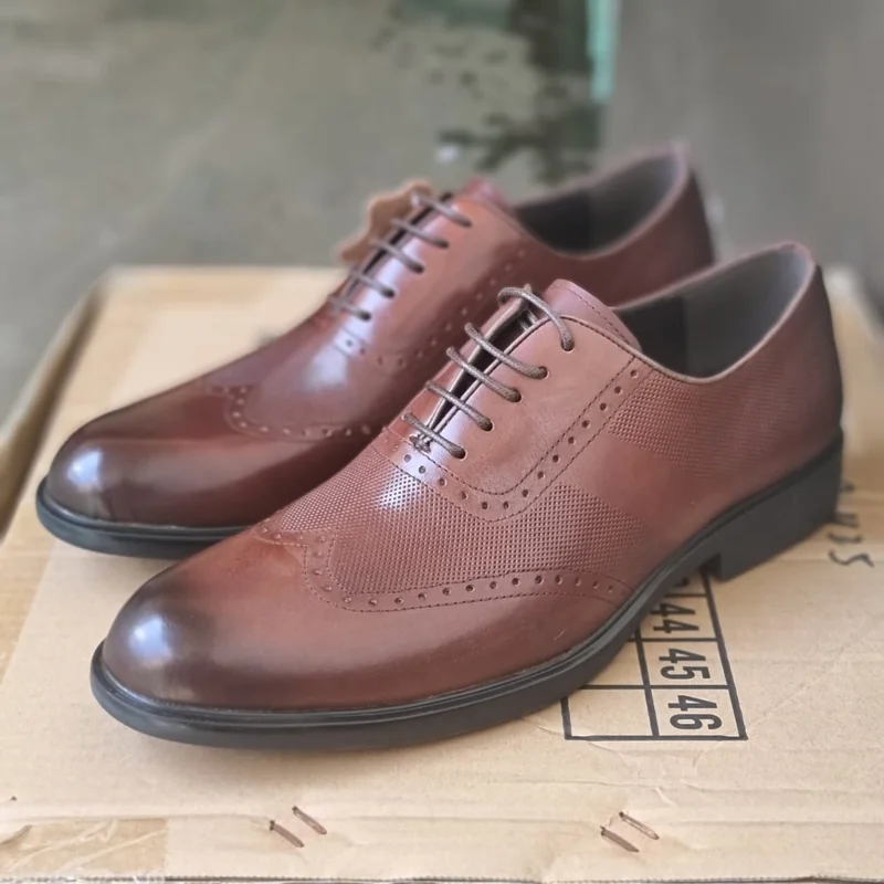 Nobby Cavalli Laced Brown Brogue Premium Leather Official Shoes