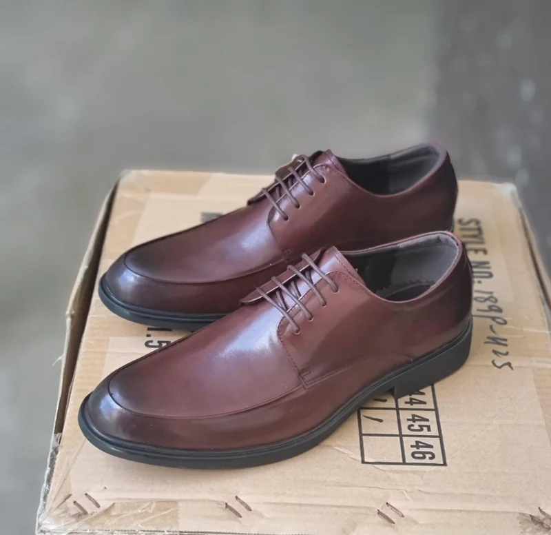 Nobby Cavalli Laced Coffee Brown Premium Leather Official Shoes