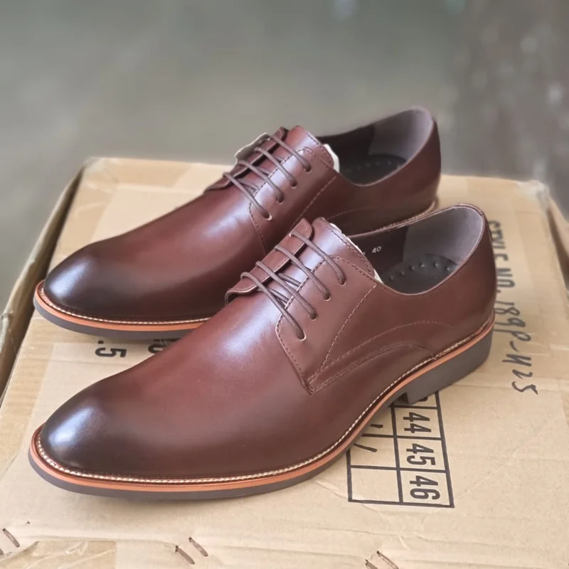 Nobby Cavalli Laced Coffee Premium Leather Official Shoes